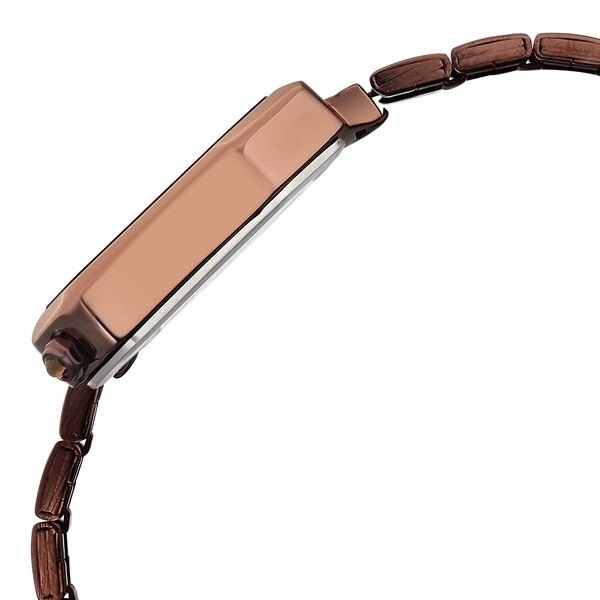 Fastrack Wild Quartz Analog Brown Dial Brown Stainless Steel Strap Watch For Girls - image number 6