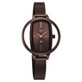 Vyb Charmer By Fastrack Quartz Analog Brown Dial Brown Stainless Steel Strap Watch For Girls - image number 2