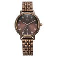 Fastrack Vyb Enigma Quartz Analog Brown Dial Brown Metal Strap Watch For Women - image number 0