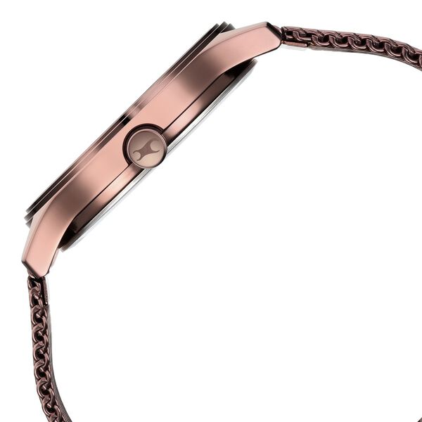 Fastrack Style Up Quartz Analog with Day and Date Brown Dial Stainless Steel Strap Watch for Guys - image number 4