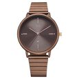 Fastrack Vyb Bliss Quartz Analog Brown Dial Metal Strap Watch For Girls - image number 1