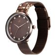 Fastrack Fleek Quartz Analog Brown Dial Stainless Steel Strap Watch for Girls - image number 2