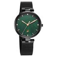 Fastrack Stunners X Quartz Analog Green Mother Of Pearl Dial Stainless Steel Strap Watch For Girls - image number 1