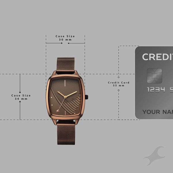 Fastrack Wild Quartz Analog Brown Dial Brown Stainless Steel Strap Watch For Girls - image number 3