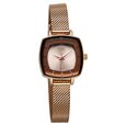 Vyb Seeker By Fastrack Quartz Analog Rose Gold Dial Metal Strap Watch For Girls - image number 0
