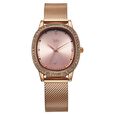 Fastrack Vyb Mirage Quartz Analog Rose Gold Dial Rose Gold Color Metal Strap Watch For Girls - image number 1